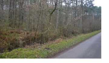 Działka leśna Bartniki, ul. Spokojna