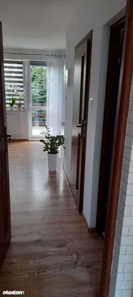 bliźniak, 5 pokoi Brodnica, ul. Półwiejska. Zdjęcie 14