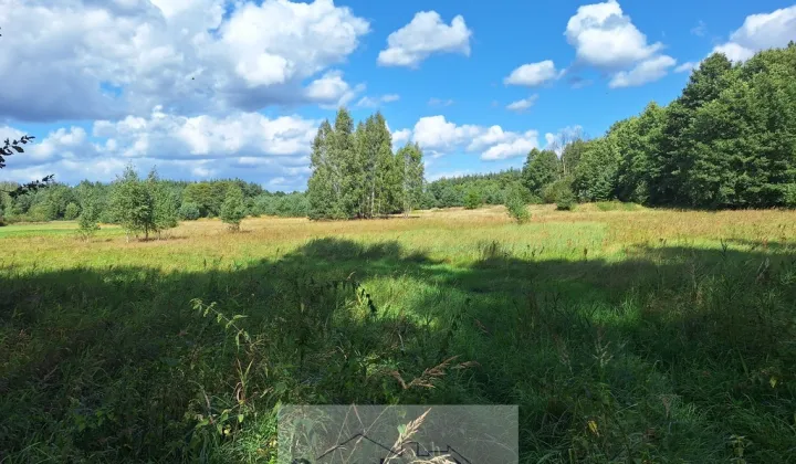 Działka inwestycyjna Zawiszyn