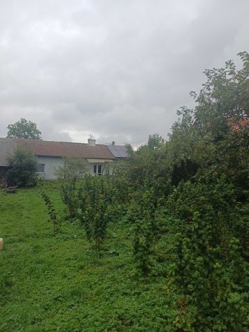 Działka siedliskowa Jankowo. Zdjęcie 1