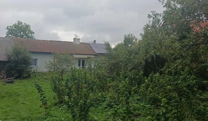 Działka siedliskowa Jankowo