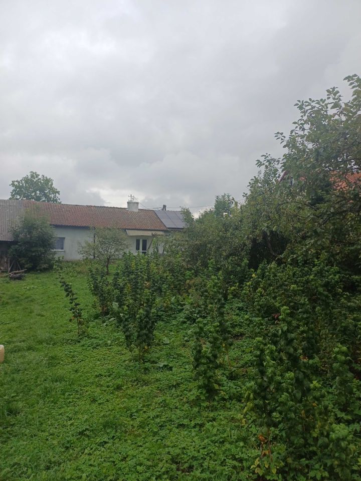 Działka siedliskowa Jankowo. Zdjęcie 1