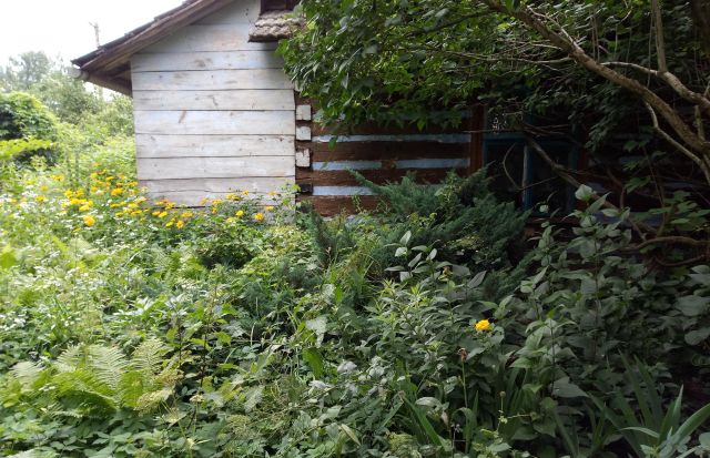 siedlisko, 2 pokoje Przychojec. Zdjęcie 1