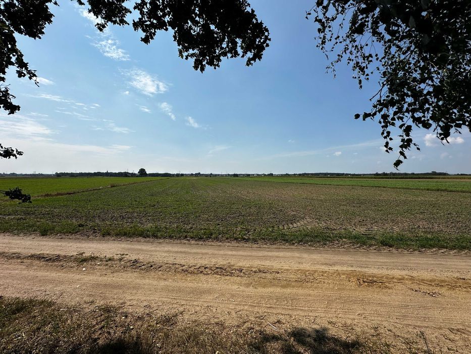 Działka budowlana Kraszewice. Zdjęcie 4