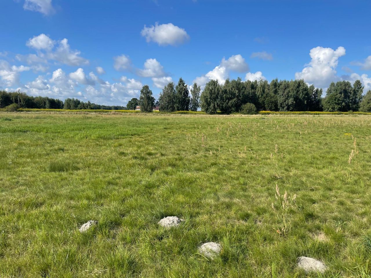 Działka budowlana Łąki. Zdjęcie 9