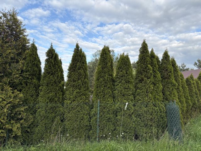 Działka budowlana Rusiec. Zdjęcie 3