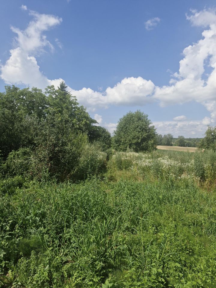 Działka rolna Godów. Zdjęcie 2