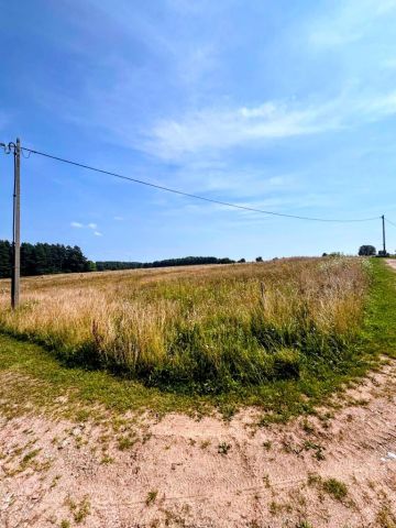 Działka rolno-budowlana Lipowa Góra Wschodnia. Zdjęcie 1