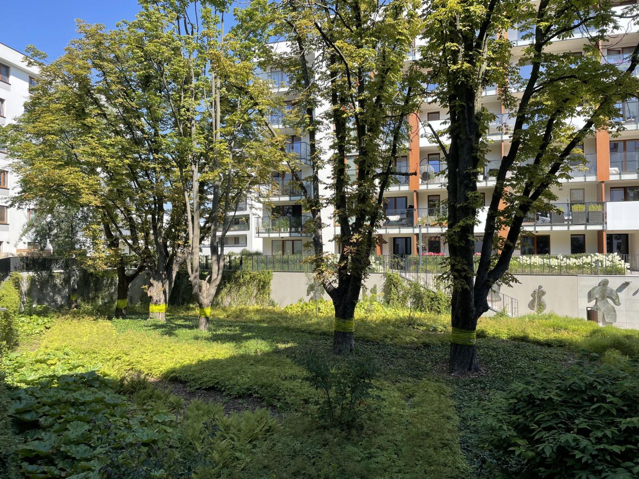 Mieszkanie 2-pokojowe Warszawa Żoliborz, ul. Kaliny Jędrusik. Zdjęcie 18