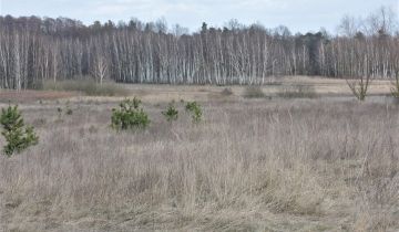 Działka rolno-budowlana Wiejca