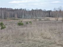 Działka rolno-budowlana Wiejca