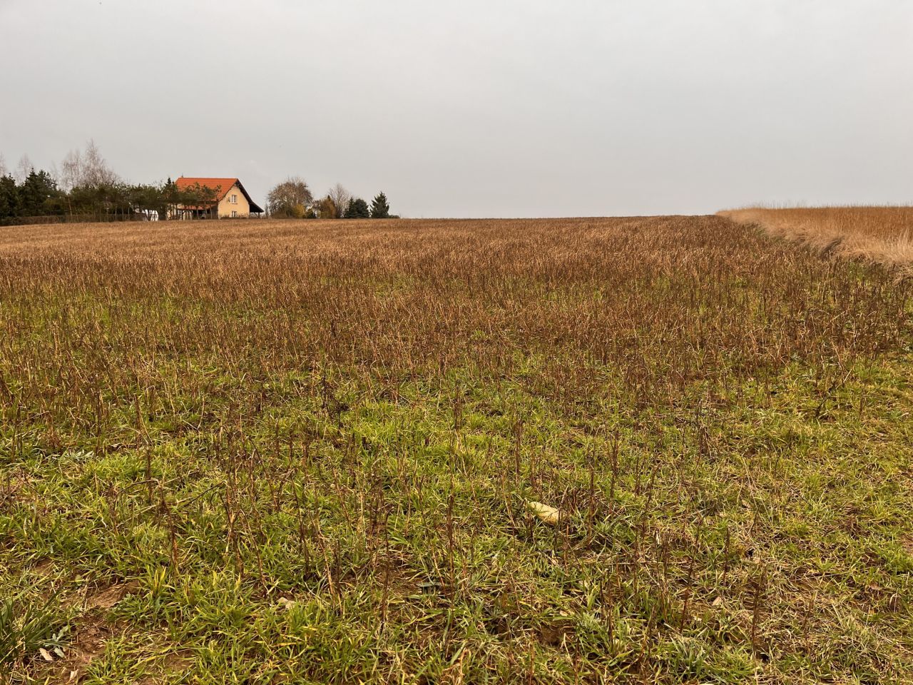 Działka budowlana Łężeczki, ul. Słoneczna. Zdjęcie 3