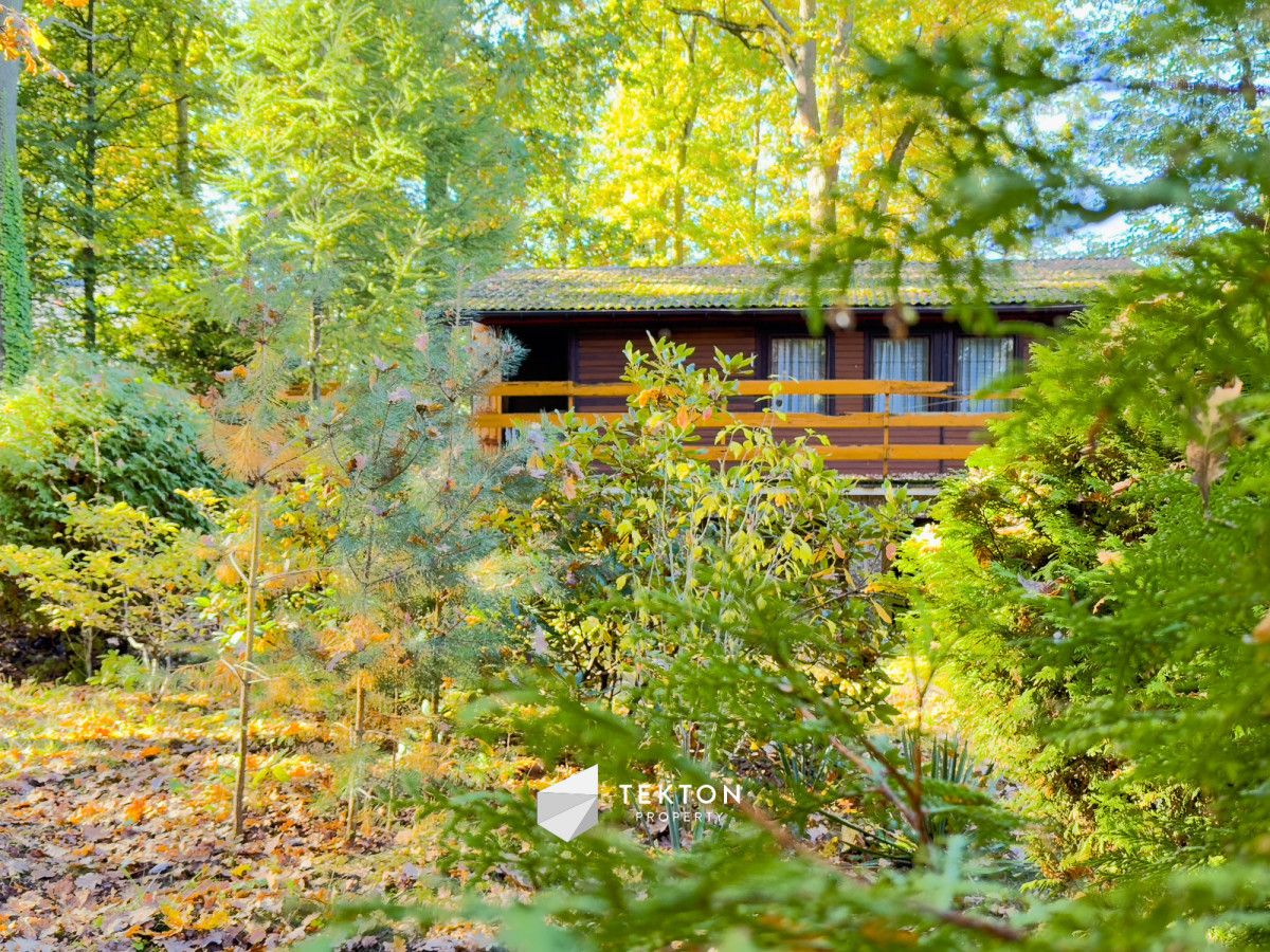 Działka leśna Warszawa Stara Miłosna, ul. Torfowa