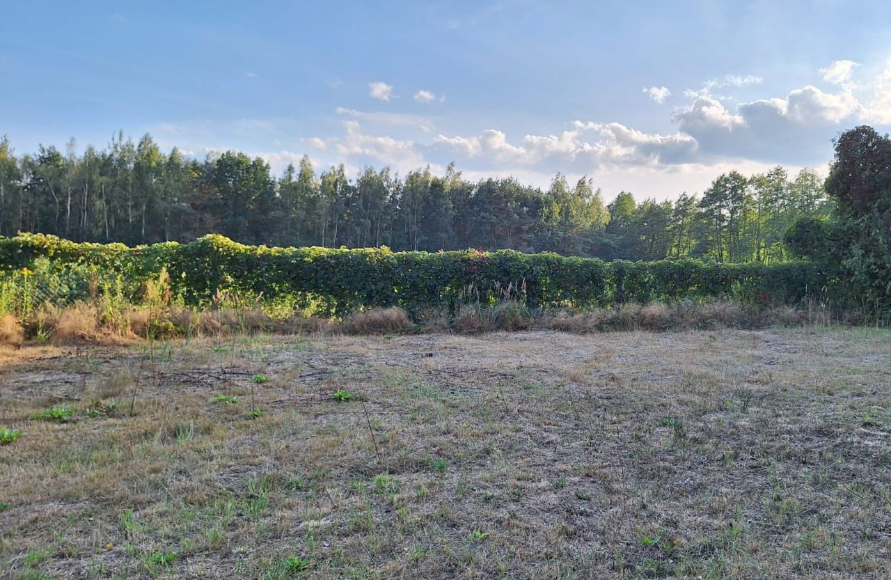 Działka budowlana Piskórka, ul. Świerkowa. Zdjęcie 11