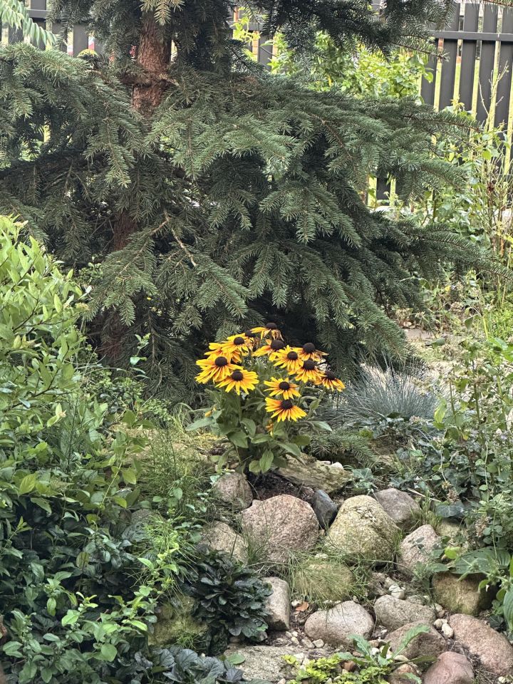 dom wolnostojący, 4 pokoje Huta Żabiowolska, Główna. Zdjęcie 23