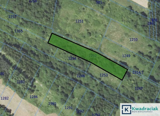 Działka rolna Łężyny. Zdjęcie 5