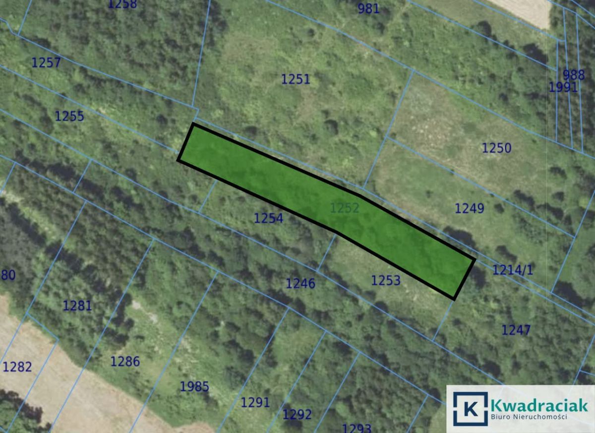 Działka rolna Łężyny. Zdjęcie 5