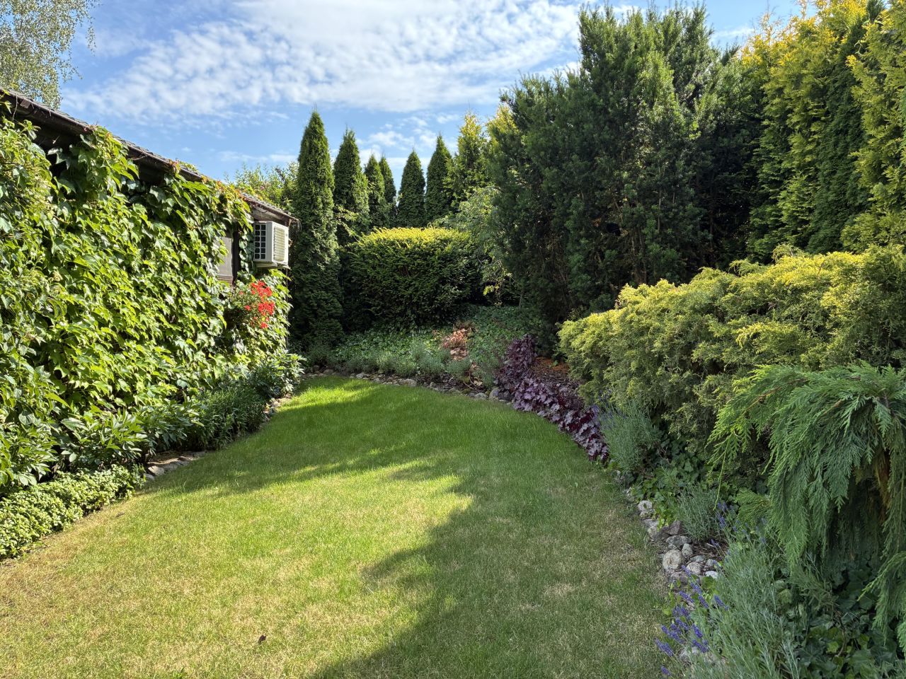 Działka rolno-budowlana Jerzyn. Zdjęcie 6