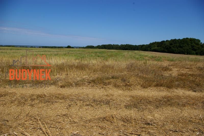 Działka budowlana Kopnica. Zdjęcie 12
