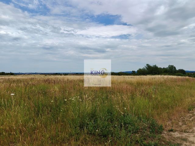 Działka rolna Karwowo. Zdjęcie 1