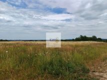 Działka rolna Karwowo