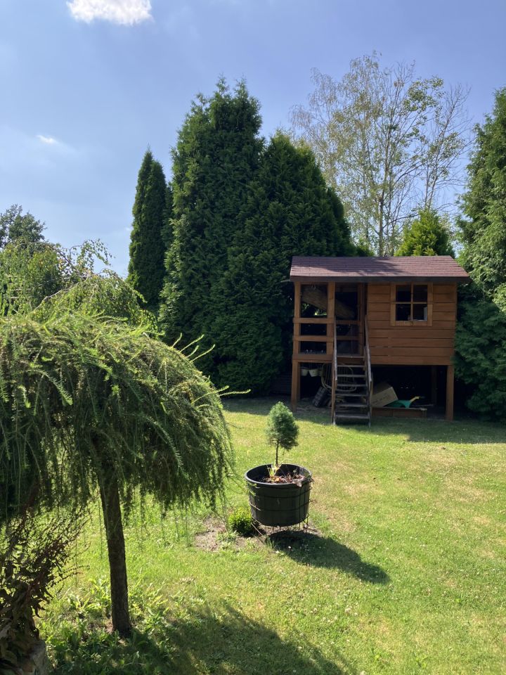 Działka rod Katowice Brynów, ul. Porfirowa. Zdjęcie 9