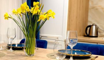 Mieszkanie 2-pokojowe Gliwice Śródmieście