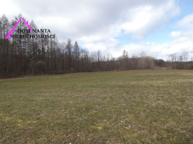 Działka budowlana Zdrada, ul. Leśna. Zdjęcie 17