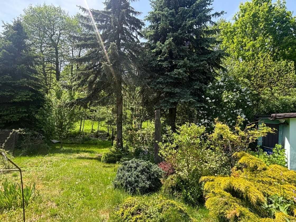 Działka rekreacyjna Warszewice. Zdjęcie 5