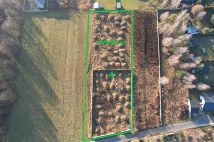 Działka budowlana Zduńska Wola, ul. Wiśniowa. Zdjęcie 3