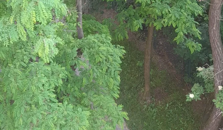 Mieszkanie 3-pokojowe Częstochowa Północ