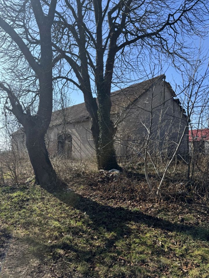 Działka rolno-budowlana Brojce, ul. Parkowa. Zdjęcie 10