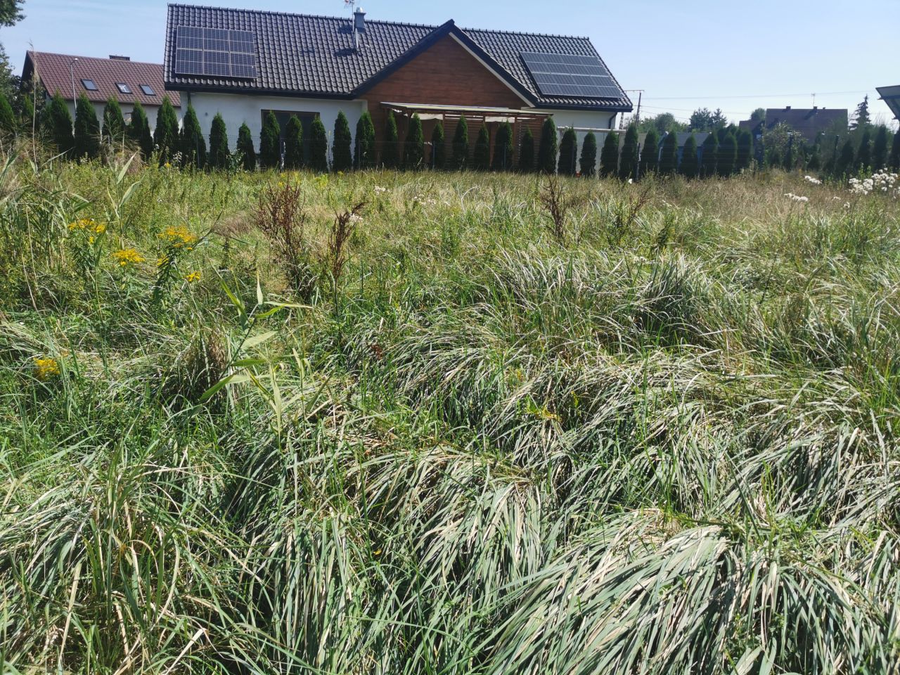 Działka budowlana Mała Nieszawka, ul. Szczęśliwa