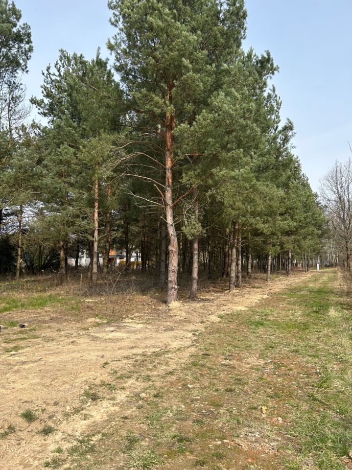 Działka rolno-budowlana Mieszkowo. Zdjęcie 7