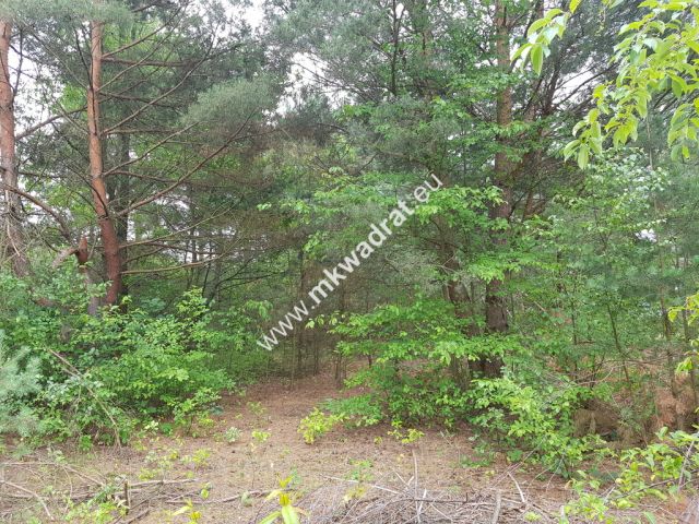 Działka budowlana Musuły. Zdjęcie 2