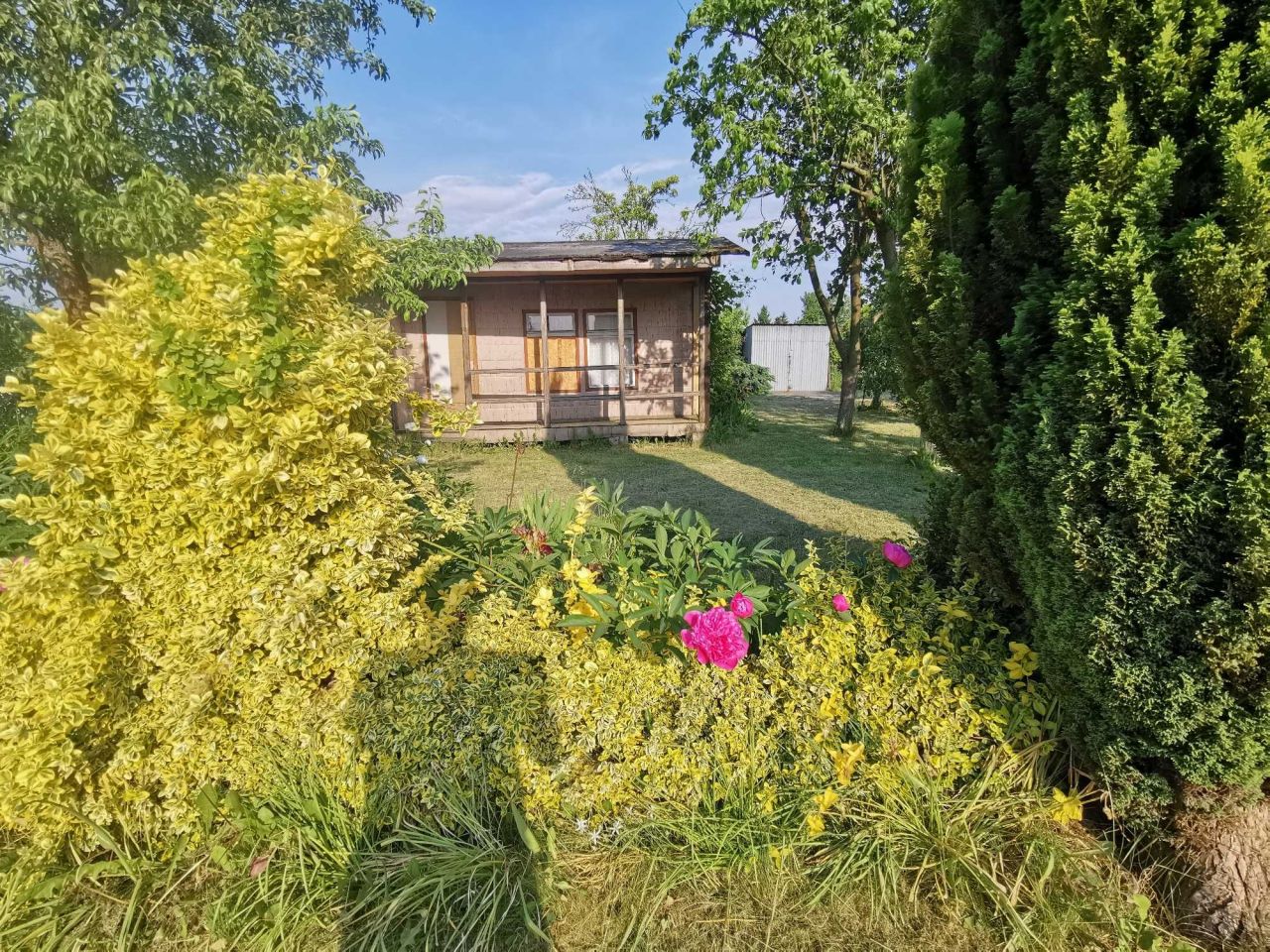 Działka rod Szczecin Bukowo, ul. Szosa Polska