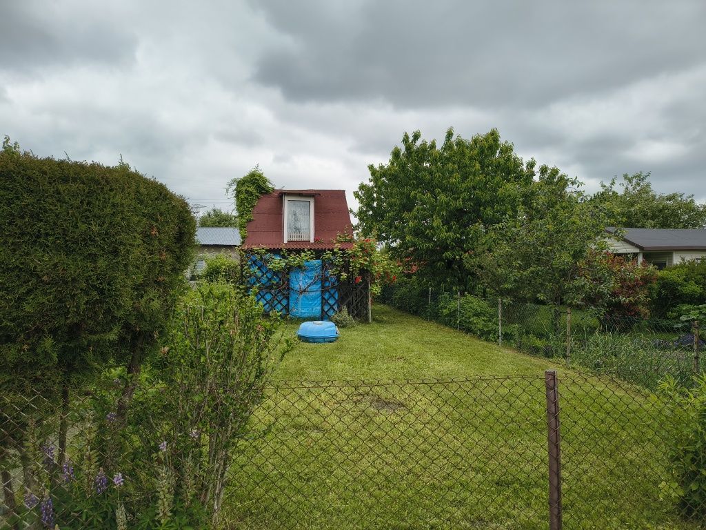 Działka rod Bełchatów. Zdjęcie 5