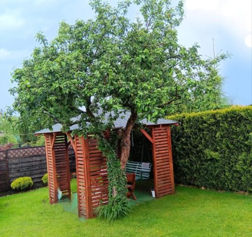Działka rod Wejherowo Centrum, ul. mjr. Henryka Sucharskiego. Zdjęcie 16