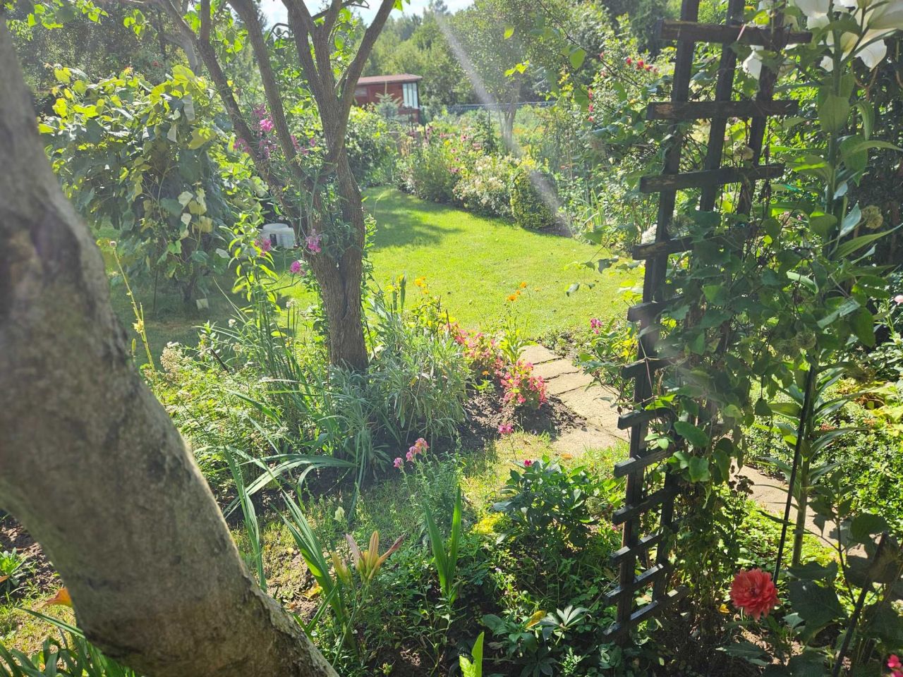 Działka rod Lublin Sławinek, ul. Zbożowa. Zdjęcie 3