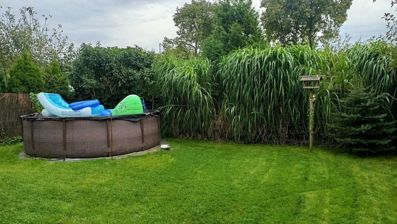 Działka rod Żurczyn. Zdjęcie 6