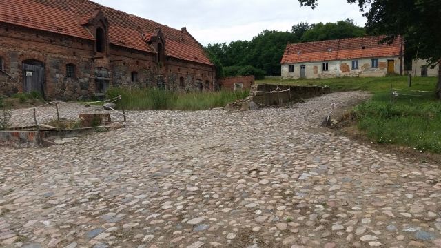 Działka siedliskowa Rogów Wołowski. Zdjęcie 2
