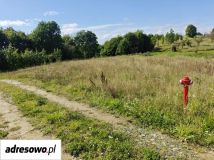 Działka budowlana Głodowo. Zdjęcie 4