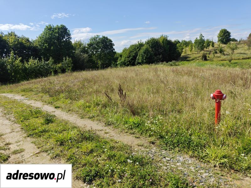 Działka budowlana Głodowo. Zdjęcie 5