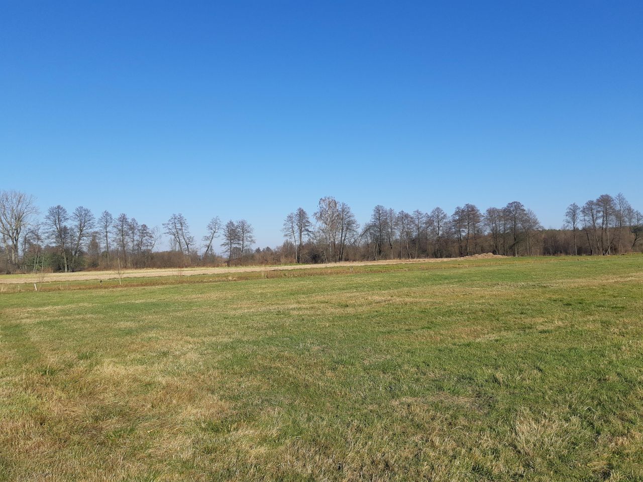 Działka rolno-budowlana Prostyń. Zdjęcie 3