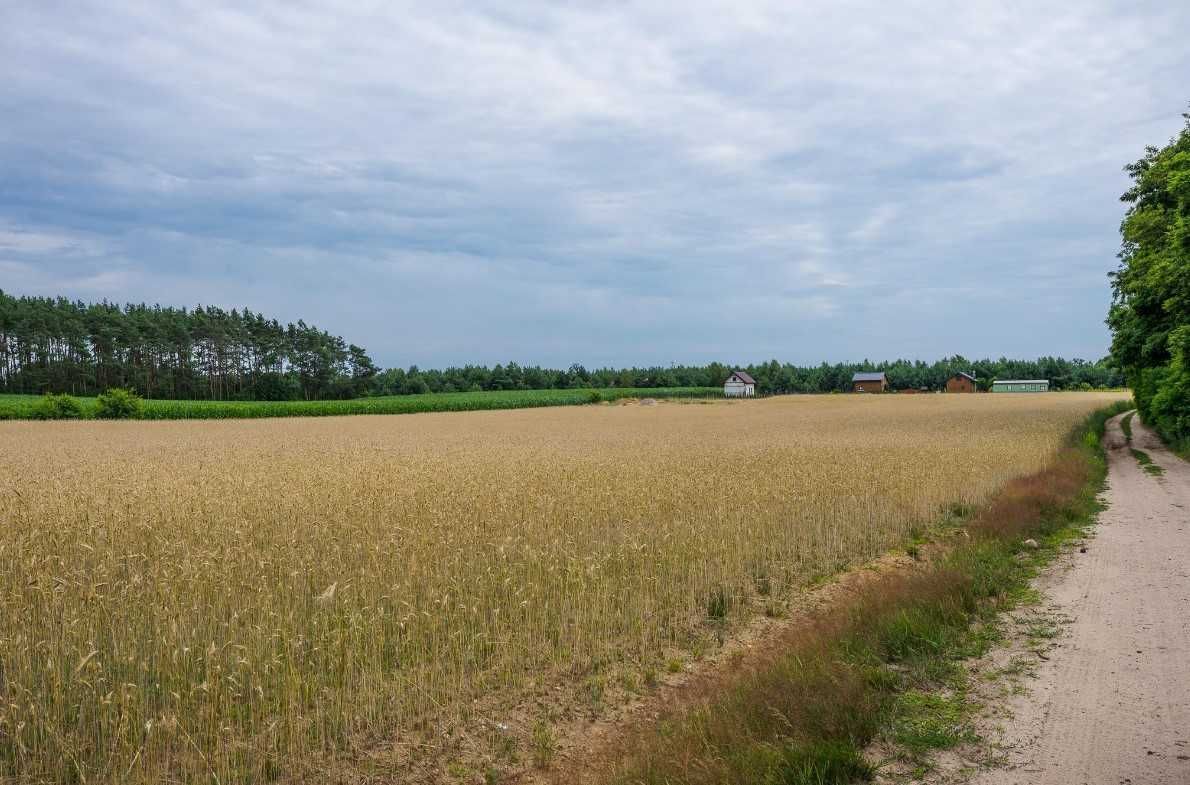 dzia-ka-lub-wiec-bez-po-rednika-1000-m2-50-000-z