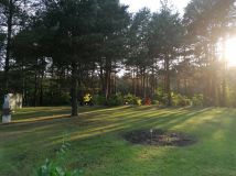 Działka siedliskowa Chwalęcice. Zdjęcie 1