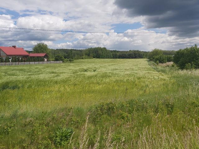 Działka budowlana Staszów, ul. Oględowska. Zdjęcie 1