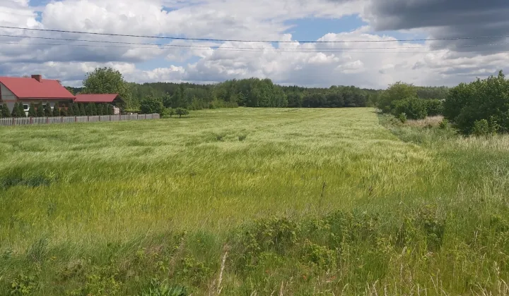 Działka budowlana Staszów, ul. Oględowska