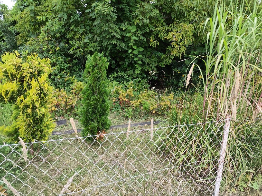 Działka rod Tarnobrzeg Wielopole. Zdjęcie 2