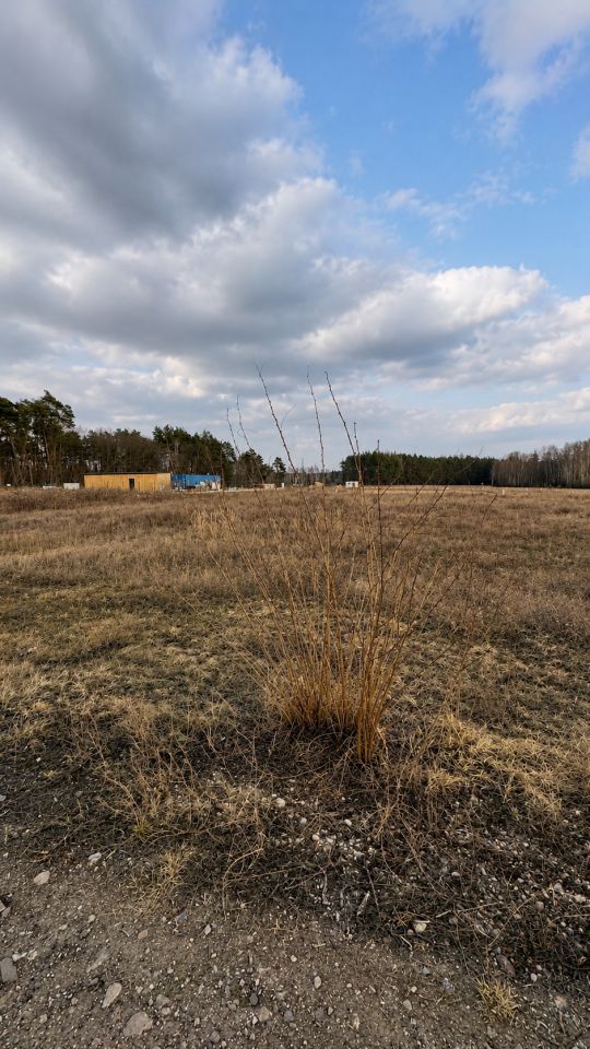 Działka budowlana Krusze, ul. Pudrowa. Zdjęcie 1